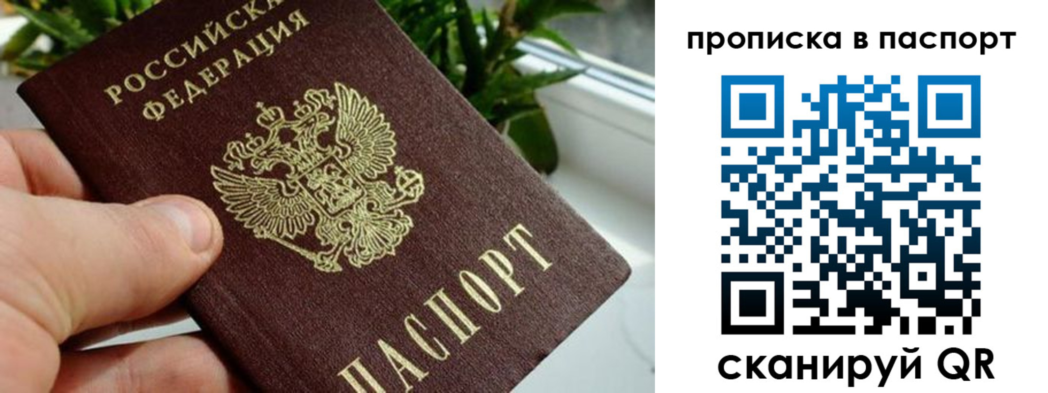 пропишу в квартире в Воскресенске